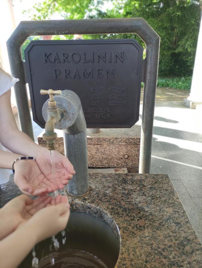 玛丽亚温泉Apartman Friedrichsruh公寓 外观 照片